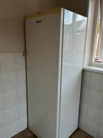 Beko grote vriezer, Gebruikt, 160 cm of meer, Ophalen, Vrieskast