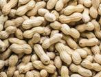 10kg doppinda's voor de buitenvogels en eekhoorns, Nieuw, Ophalen of Verzenden, Nvt, Eten en Drinken