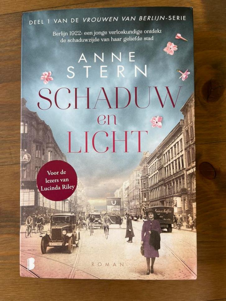 Anne Stern - Schaduw en licht, Boeken, Literatuur, Zo goed als nieuw, Ophalen of Verzenden