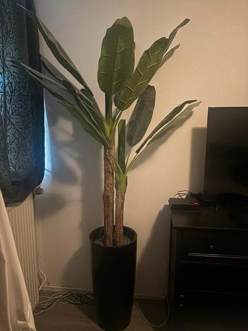 Kunstplant Bananenplant XL beschikbaar voor biedingen