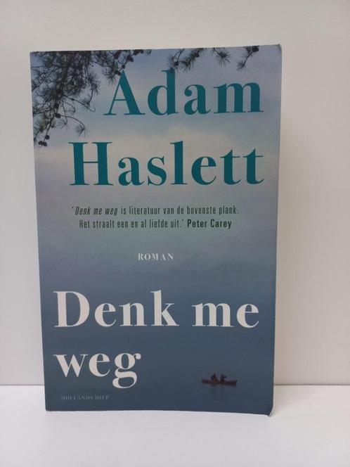 Adam Haslett - Denk me weg, Boeken, Romans, Zo goed als nieuw, Nederland, Ophalen of Verzenden