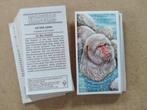 Incredible Creatures complete set 40 tea cards Brooke Bond, Ophalen