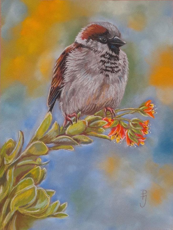 OPRUIMING schilderij mus 302 - eigen werk - mussen vogel, Antiek en Kunst, Kunst | Tekeningen en Foto's, Ophalen of Verzenden