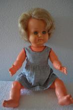 Mooie wildebras pop uit de jaren 1960 NR 7111, Verzamelen, Ophalen of Verzenden, Zo goed als nieuw, Pop
