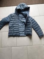 Blauw gewatteerd jasje, Maat 38/40 (M), Blauw, Ophalen of Verzenden, Tally weil