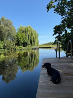 Recreatie eiland Westeinderplassen incl boot & ligplaats., Aalsmeer, Verkoop zonder makelaar, 500 tot 1000 m²