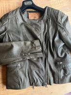Goosecraft lederen jasje xl, Kleding | Dames, Ophalen of Verzenden, Zo goed als nieuw, Maat 46/48 (XL) of groter, Groen