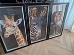 Dieren Triptiek Schilderijen, Oorspronkelijke maker, Ophalen of Verzenden, Zo goed als nieuw, Schilderij