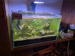 Aquarium 25 liter met toebehoren en vissen, Dieren en Toebehoren, Vissen | Aquaria en Toebehoren, Ophalen, Gebruikt, Gevuld zoetwateraquarium