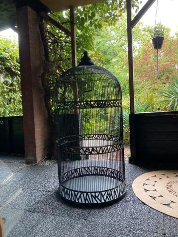 Grote antieke papegaaienkooi/vogelkooi beschikbaar voor biedingen