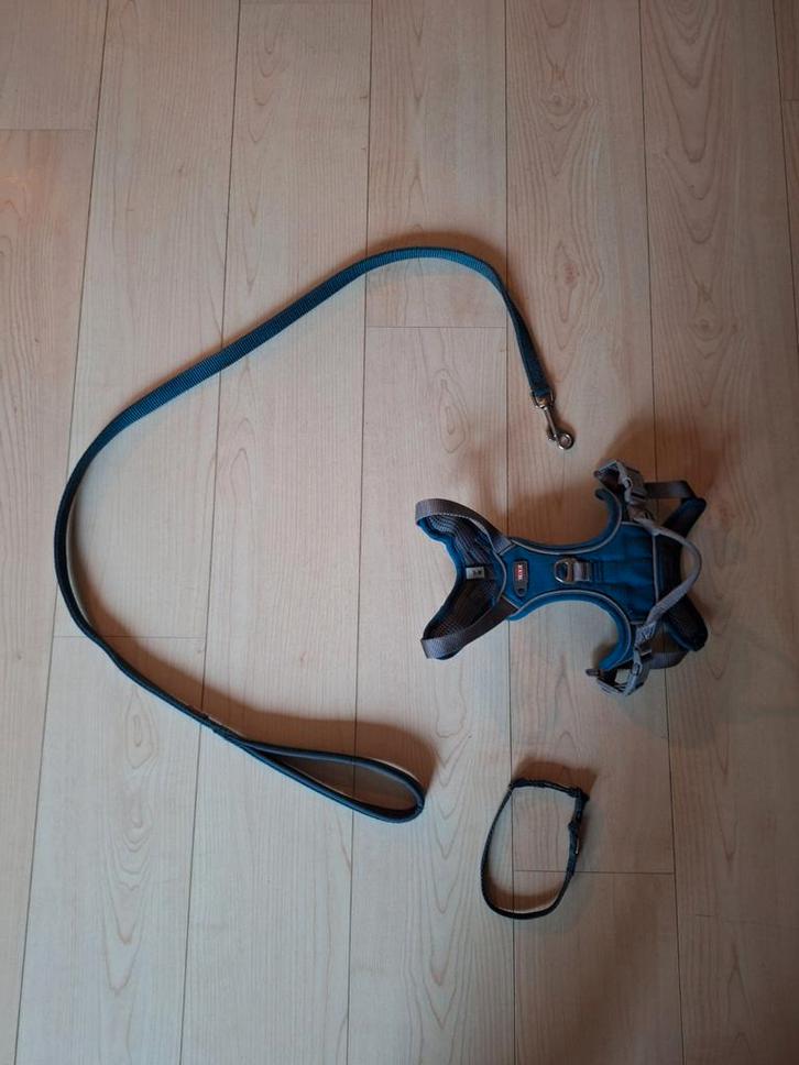 Tuigje, riem en halsband van het merk Trixie, Dieren en Toebehoren, Hondenriemen, Ophalen of Verzenden