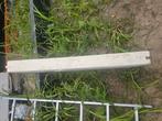 Kantplank 1250x350x110. Dikte is 110, Doe-het-zelf en Verbouw, Hout en Planken, Ophalen of Verzenden, Nieuw, 50 mm of meer, Balk