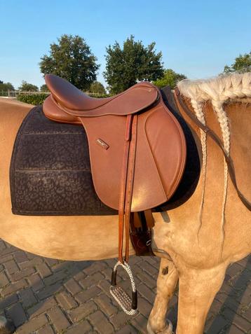 Wintec 500 zadel 17 inch cognac beschikbaar voor biedingen