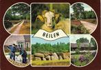 Ansichtkaart	Beilen	6-luik	Hunebed, Verzamelen, Verzenden, 1960 tot 1980, Gelopen, Drenthe