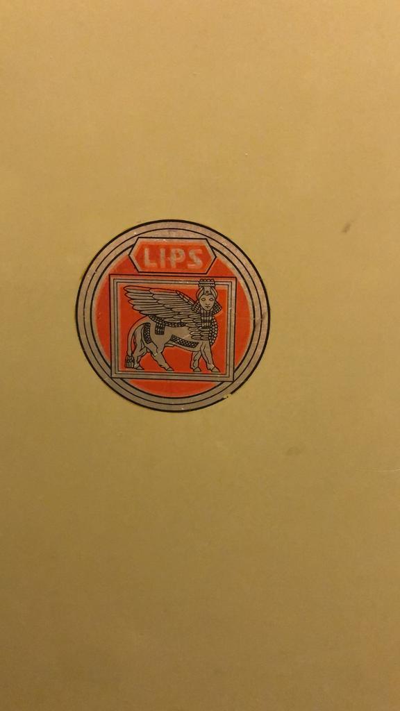 Kluis Lips voor wapens en munitie, Sport en Fitness, Schietsport-accessoires, Gebruikt, Ophalen of Verzenden