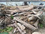 brand hout hardhout, Gebruikt, Ophalen of Verzenden, Hardhout, 250 cm of meer