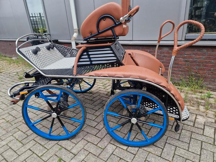 Diverse enkel en tweespanwagens, Dieren en Toebehoren, Rijtuigen en Koetsen, Gebruikt, Paard of Pony