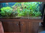 Juwel rio 240 aquarium, leeg, 120 cm, Ophalen of Verzenden, Zo goed als nieuw, Leeg aquarium