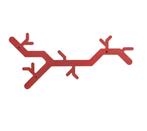 Wandkapstok Tree Hooked - div kleuren Van Esch > Functionals, Nieuw, Minder dan 100 cm, Metaal, Ophalen