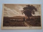 Elspeet,  op de Veluwe, weenink kaart, Ophalen of Verzenden, Gelderland