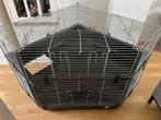 Caviakooi/ caviahok hoekopstelling met 2 etages, Ophalen, Kooi, Gebruikt, 60 tot 90 cm