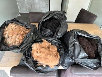 Alpaca wol beschikbaar voor biedingen