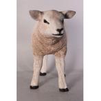 Texelaar Lam – Schaap beeld Lengte 58 cm, Ophalen, Nieuw, Overige typen