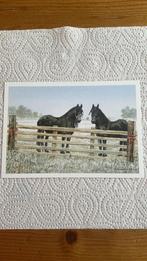 Postkaart - Paarden - Wiebe van der Zee, Ophalen of Verzenden, 1980 tot heden, Ongelopen, Paard