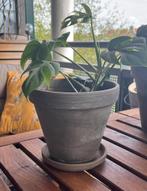 Terracotta plantenpotten / flowerpots / verschillende maten, Rond, Minder dan 25 cm, Ophalen, Minder dan 40 cm