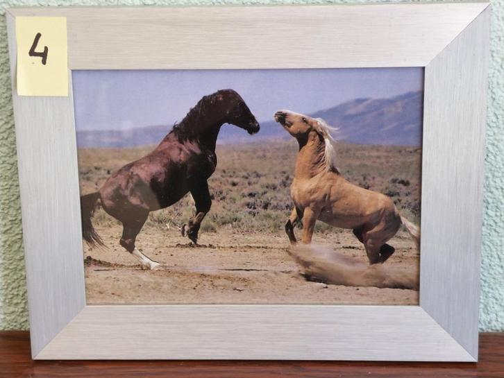 Foto wissellijstjes €3,00 per stuk (lijst 1), Audio, Tv en Foto, Fotografie | Fotolijsten, Zo goed als nieuw, Ophalen of Verzenden