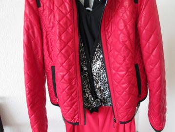 NIEUW, TAIFUN stoer jackje/jasje  rood maat 40 beschikbaar voor biedingen