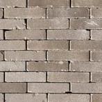 Triton  gebakken Waalformaat, Ophalen of Verzenden, Nieuw, Klinkers