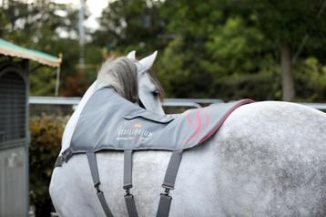 Massage Pad Heatsense Behandeling beschikbaar voor biedingen