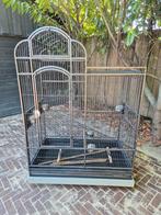 Vogelkooi/ papegaaienkooi  +/- 155x106x66 cm, Dieren en Toebehoren, Vogels | Hokken en Kooien, Ophalen, Zo goed als nieuw, Metaal
