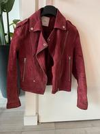 Leren jas bordeaux Mango maat S, Ophalen, Mango, Maat 36 (S), Gedragen