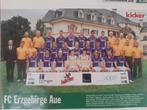 Knipsel FC Erzgebirge Aue, Verzenden, Gebruikt, Buitenlandse clubs, Poster, Plaatje of Sticker