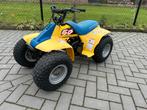 suzuki lt50 quadrunner in zeer nette staat, Ophalen, Gebruikt, Overige typen