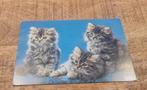 Drie mooie poesjes (ansichtkaart), Verzamelen, Ansichtkaarten | Dieren, Verzenden, Gelopen
