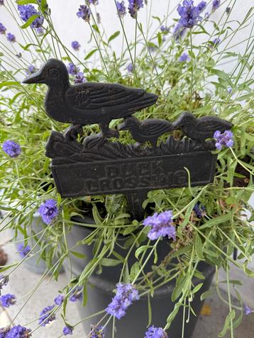 Duckcrossing Tuinbordje Gietijzer beschikbaar voor biedingen