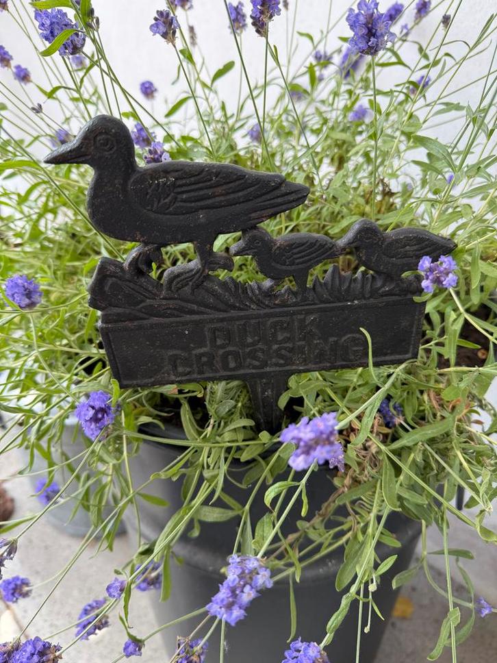 Duckcrossing Tuinbordje Gietijzer, Tuin en Terras, Tuinstekers, Gebruikt, Ophalen of Verzenden