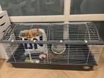 Cavia/konijnen kooi ferplast, Ophalen, Kooi, 110 cm of meer, 60 tot 90 cm