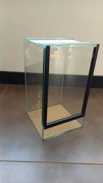 Spinnen of insecten terrarium 20 x 20 x 35 cm, Dieren en Toebehoren, Insecten en Spinnen, Overige soorten