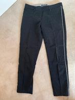 Luisa Cerano donkerblauwe Stippen Broek Maat M, Maat 38/40 (M), Blauw, Ophalen of Verzenden, Zo goed als nieuw