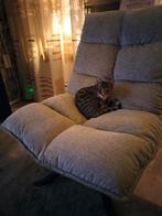 Kitten, Dieren en Toebehoren, Katten en Kittens | Raskatten | Korthaar, Poes