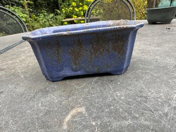 Blauw met bruin rechthoekig bonsaipotje beschikbaar voor biedingen