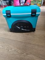 Coolbox met radio, Ophalen of Verzenden, Zo goed als nieuw, Koelelement