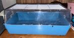 Knaagdieren kooi blauw ferplast., Dieren en Toebehoren, Kooi, Minder dan 60 cm, Hamster, Gebruikt
