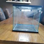 Aquarium 30x30x30 30 liter Super Fish., Dieren en Toebehoren, Vissen | Aquaria en Toebehoren, Ophalen, Zo goed als nieuw, Leeg aquarium