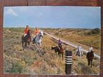 Dieren - Paarden - Terschelling, Ophalen of Verzenden, Ongelopen, Paard