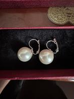 Oorbellen parels, Sieraden, Tassen en Uiterlijk, Oorbellen, Ophalen of Verzenden, Zo goed als nieuw